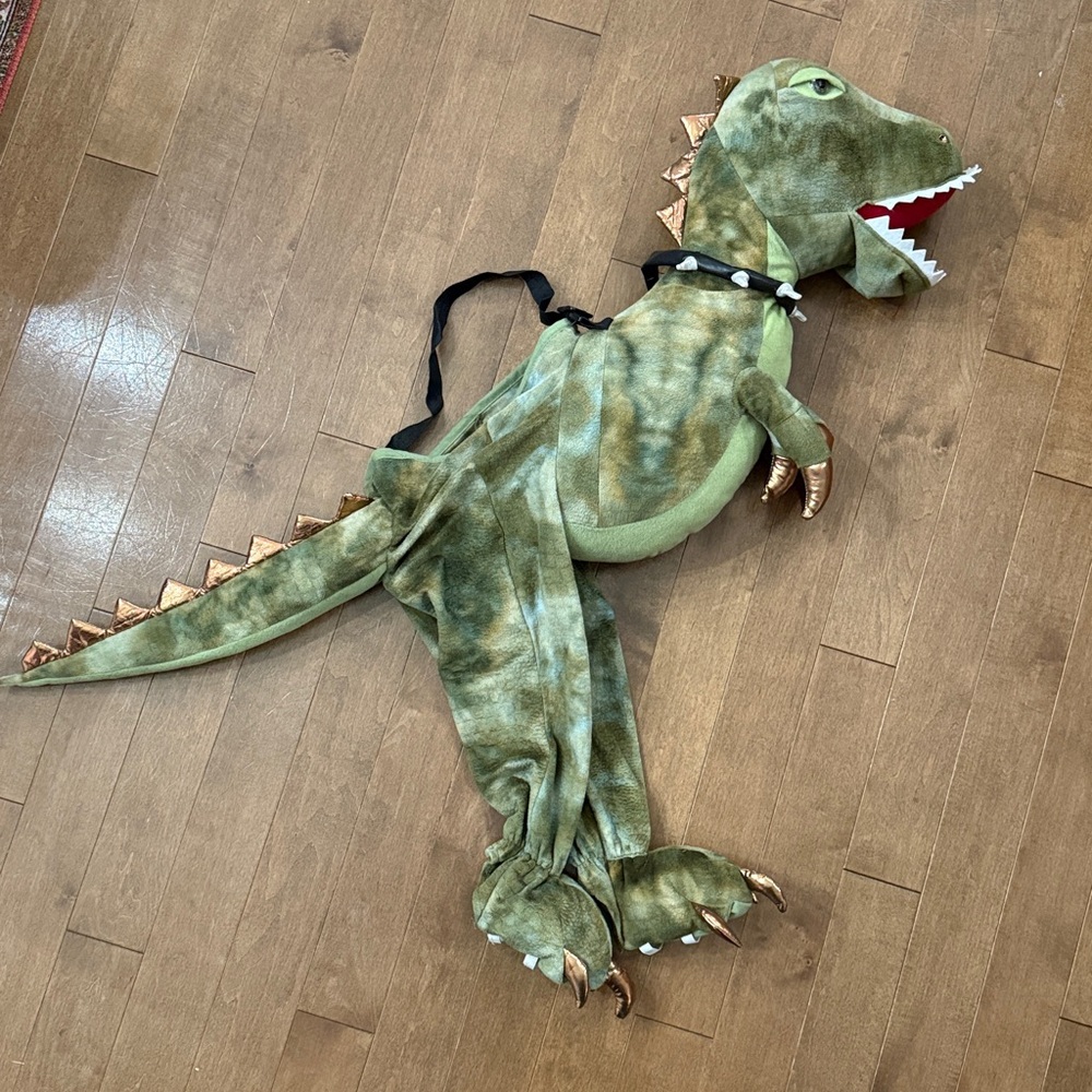 Green Dinosaur Rider Costume with Spiked Collar